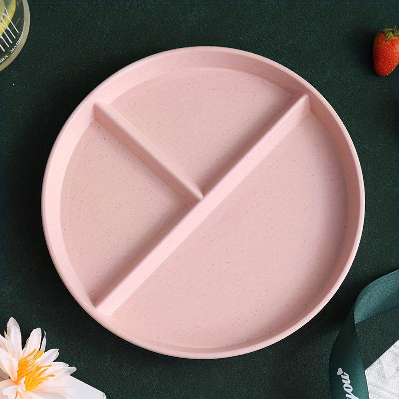 Plastic Dinner Plate for Weight Loss and Picnic