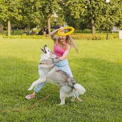 img_4677879