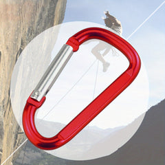 2pcs D-Shaped Aluminum Carabiners for Outdoor & Keychains