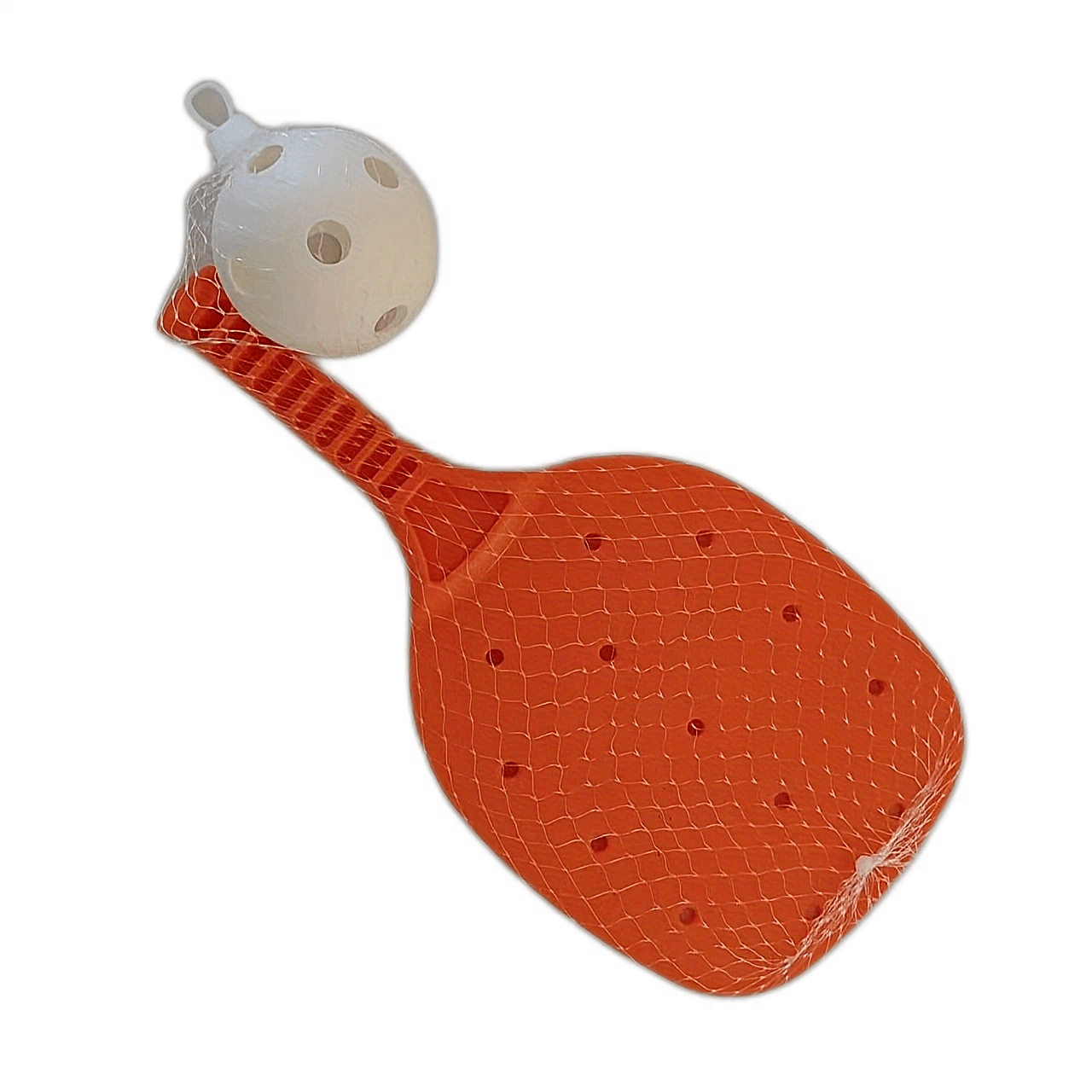 Pickleball Set for Indoor & Outdoor Training