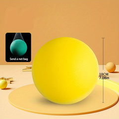 Sound Sponge Basketball Toy for Kids Indoor Training