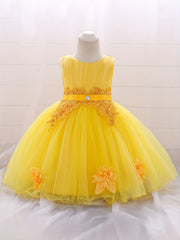 Baby Princess Birthday Dress with Flower Decor