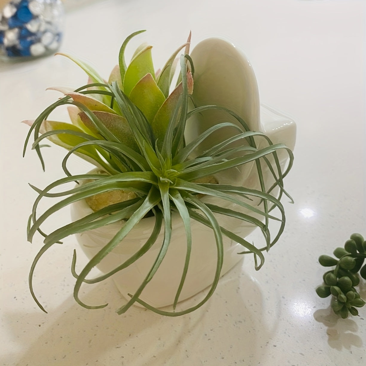 Decorative Ceramic Flower Pot for Succulents and Bonsai Trees