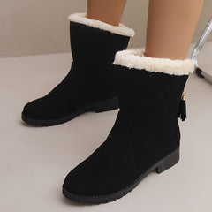 Women's Winter Snow Boots Tassel Plush Inner Low Heel Mid Calf Boots