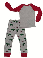 Boys Dino Print Long Sleeve Pajama Set - 2pcs