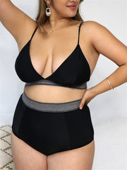 Colorblock High Waist Bikini Set Plus Size Women's Swimsuit