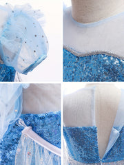 Princess LED Dress Sequin Puff Sleeve Tulle Costume