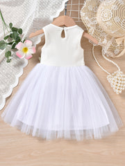 Baby Girls Casual Floral Embroidery Mesh Sleeveless Dress