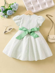 Flutter Sleeve Zip Up Belted Puffy Dress Toddler Baby Girls