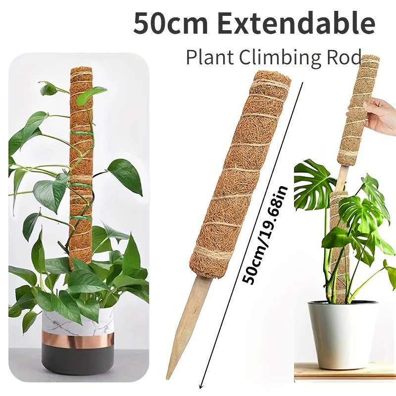 1pc Green Carrot Plant Climbing Pole Palm Rattan St