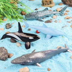 Marine Animal Model Set Toys Whale Shark Humpback Gray Killer Home Decor