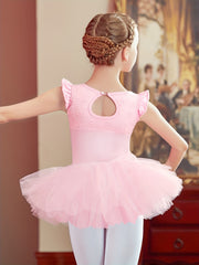 Floral Embroidery Tutu Dress for Girls - Ballet Dance Practice Costume