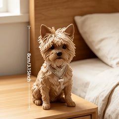img_5166528