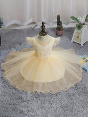 Baby Girls Floral Embroidery Mesh Gown Dress For Party Gift