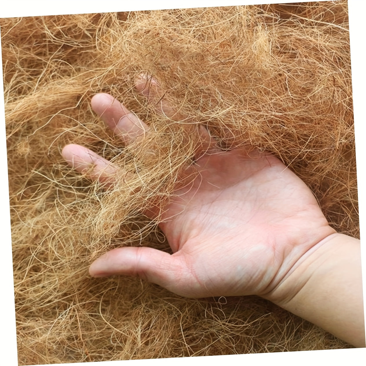 500g Natural Coconut Fiber for Bird Nest Palm Silk Lining Small Bag Nest Carpet