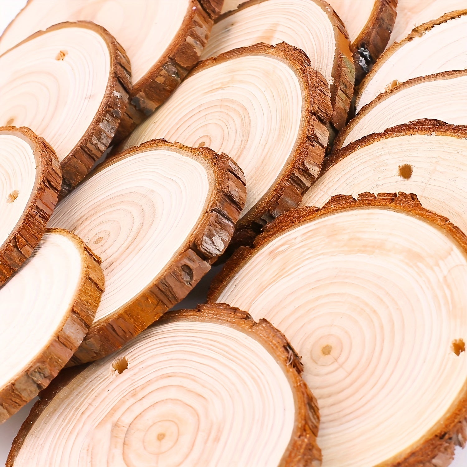 10 Pack Wood Slices Craft Wood Kit Pre-drilled Wooden Circles Arts & Crafts