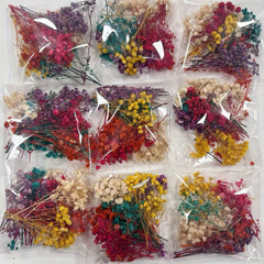 Mixed Colors Dried Flower Bag DIY Epoxy Resin Jewelry Mold Jewelry Craft Set
