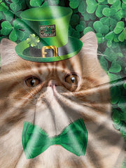 St Patrick's Cat Boy's Short Sleeve T shirt Breathable Loose Fitting