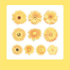10PCS Flower DIY Paper Stickers Art Supplies PET DIY Decorative Planning