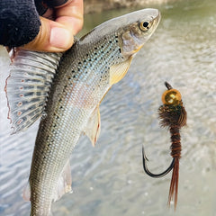 16pcs Bead Head Pheasant Tail Nymph Fly Trout Fishing Lure Sinking Fly
