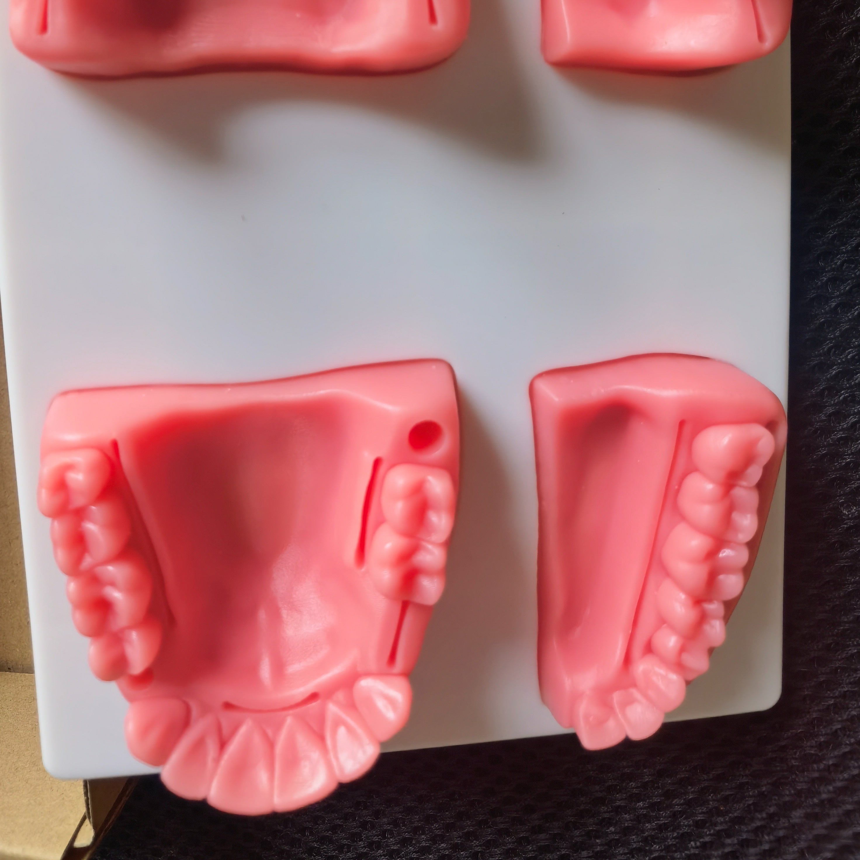 Dental Suture Practice Model for Training