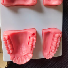 Dental Suture Practice Model for Training
