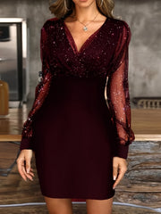 Semi Sheer Mesh Dress Long Sleeve V neck Party Dress Women's Clothing
