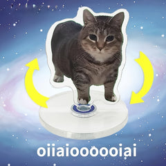 Oiiai Kitten 360 Degree Rotatable Cartoon Desk Decor Toy