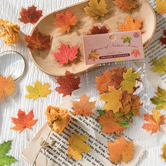 Plant Leaf Stickers Pack Of 40 DIY Decorative Art PET Material Nature Series