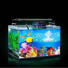 Underwater World HD Poster Background for Aquariums