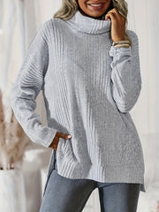 Solid Ribbed Turtle Neck Sweater