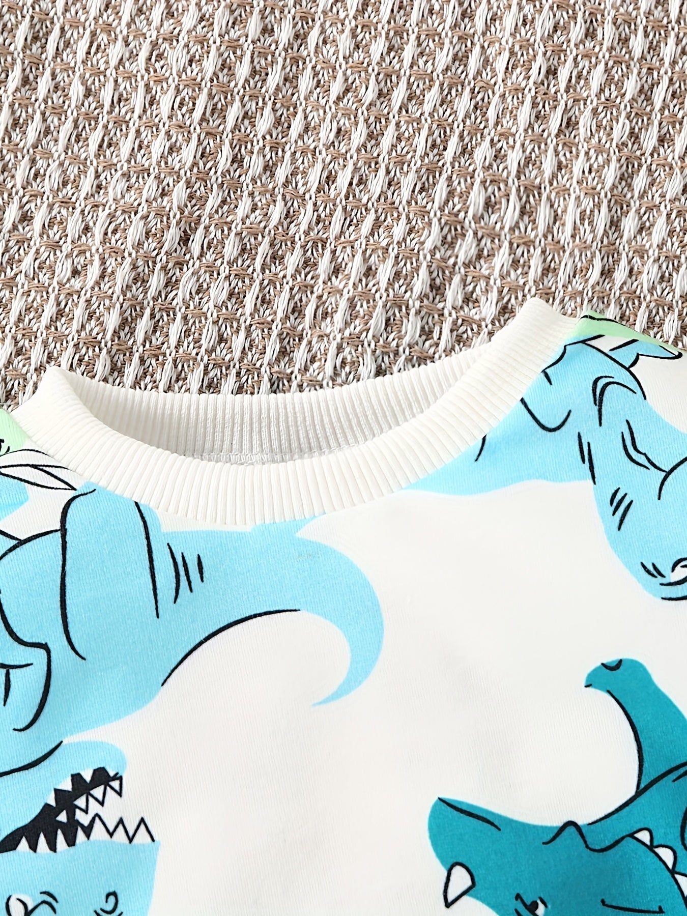 Boy's Dino Graphic Casual Set Toddler Baby Sweatshirt & Pants