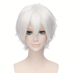 Anime Wigs For Men Cosplay Wigs