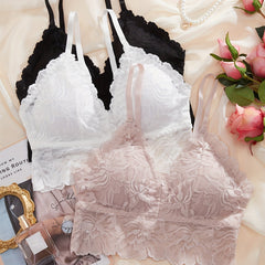 3pcs Lace Wireless Push Up Bras Women's Lingerie