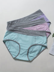 3 Pack Plus Size Colorblock High Rise Panties Set