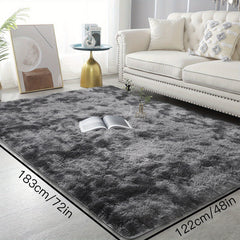 Soft Shaggy Tie Dye Area Rugs for Living Room Bedroom 3'x5'