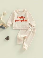Baby Boy's Waffle Set Embroidered Sweatshirt & Trousers