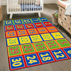 Soft Fluffy Large Number Carpet Area Rug Machine Washable Non Slip Backing