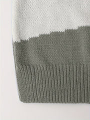 Casual Colorblock Plus Size Sweater Round Neck Jumper