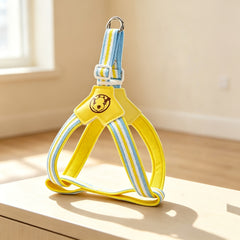 img_5536801