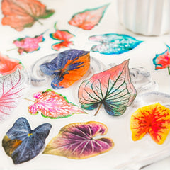 30pcs Autumn Leaves Sticker Pack DIY Plant Decoration Collage
