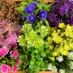 img_5481376