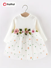 Baby Girl Ribbed Long Sleeve Floral Embroidered Mesh Dress