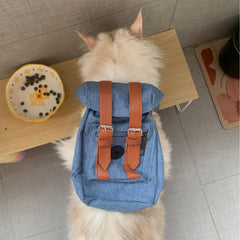 img_7499518