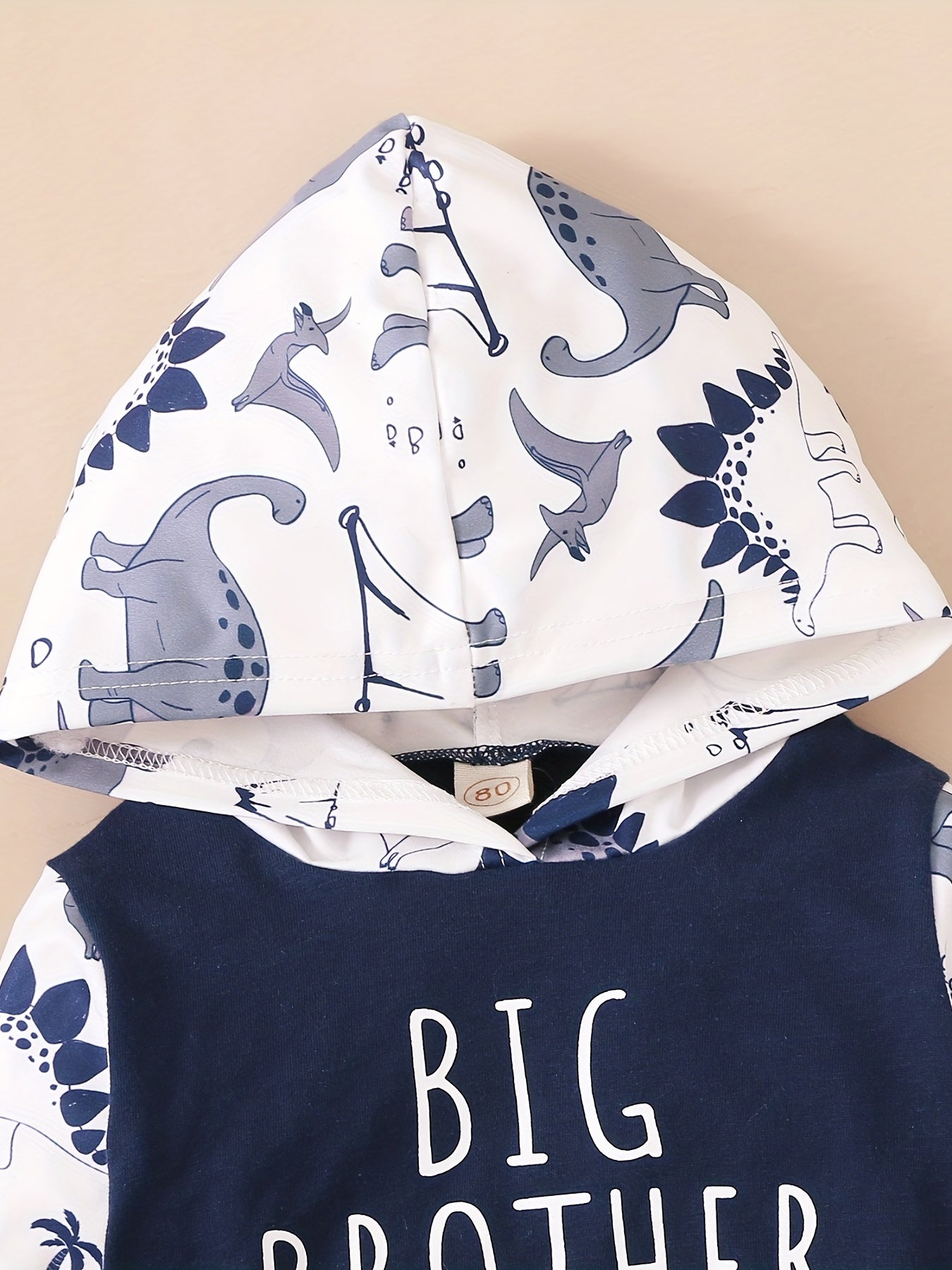 Boys BIG BROTHER Dinosaur Print Hooded Sweatshirt Set