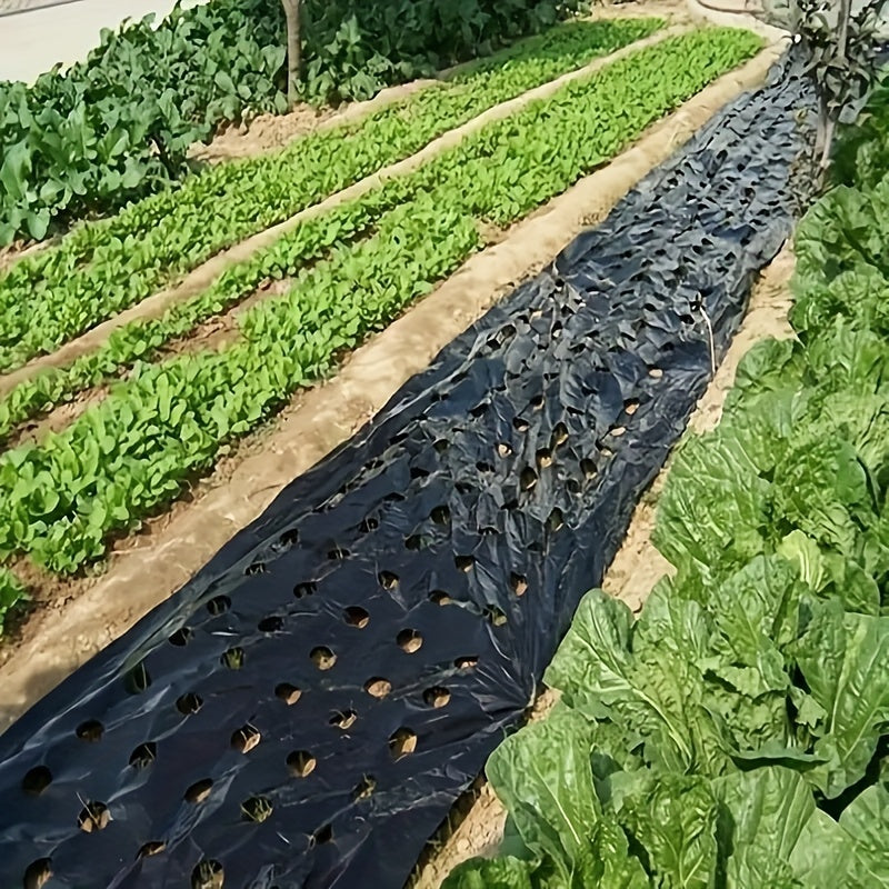 Plastic Film Garden Weed Control Barrier for Planting & Mulching