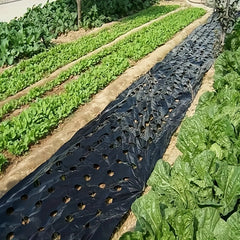 Plastic Film Garden Weed Control Barrier for Planting & Mulching