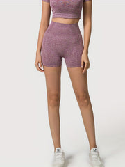 3pcs Seamless High Waist Yoga Shorts Elasticity Sports