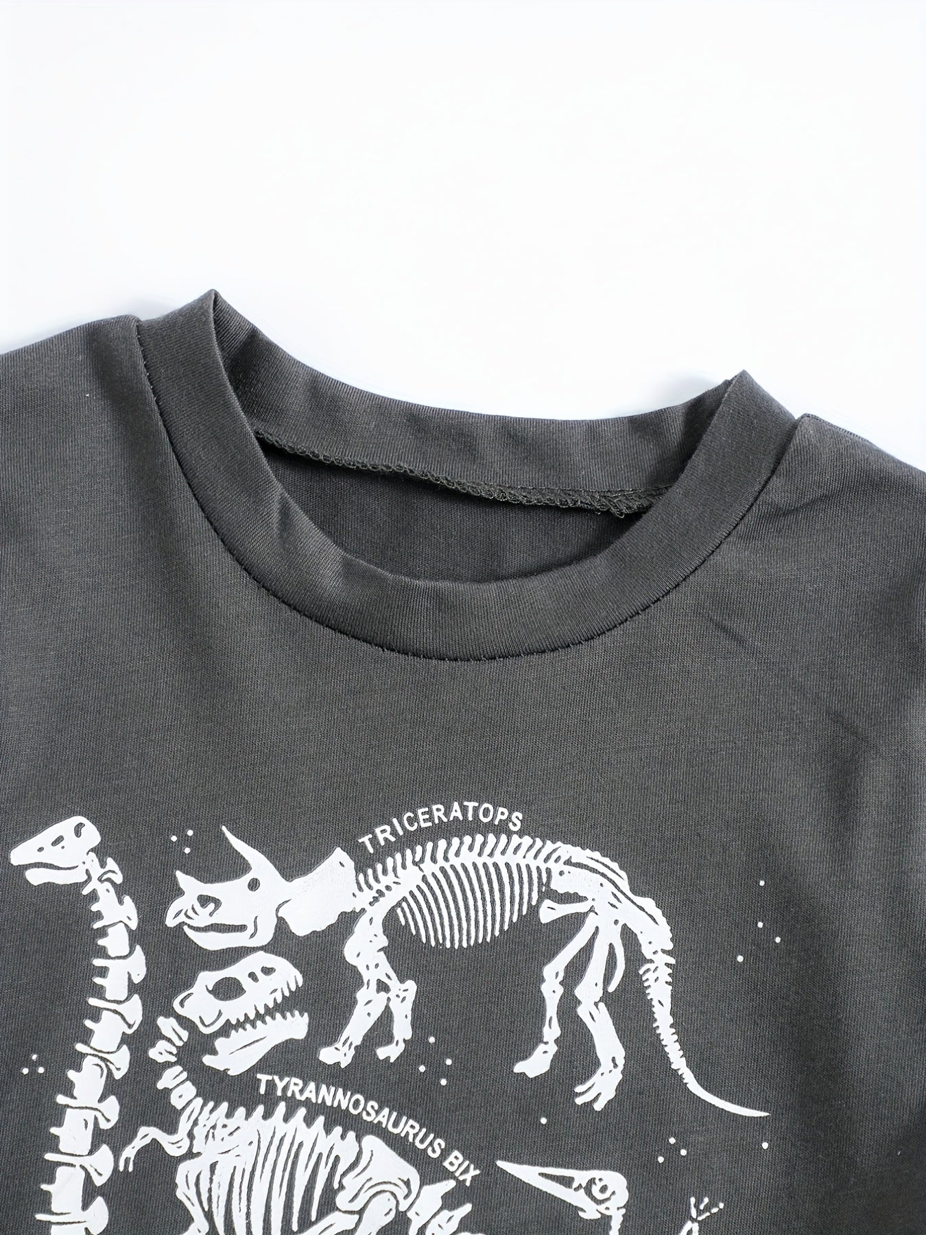 2pcs Dinosaur Print T shirt & Shorts Set For Boys Teen Summer