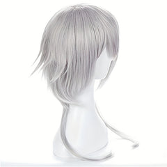 Anime Cosplay Silver Gray Men's Wig Full Head Cover